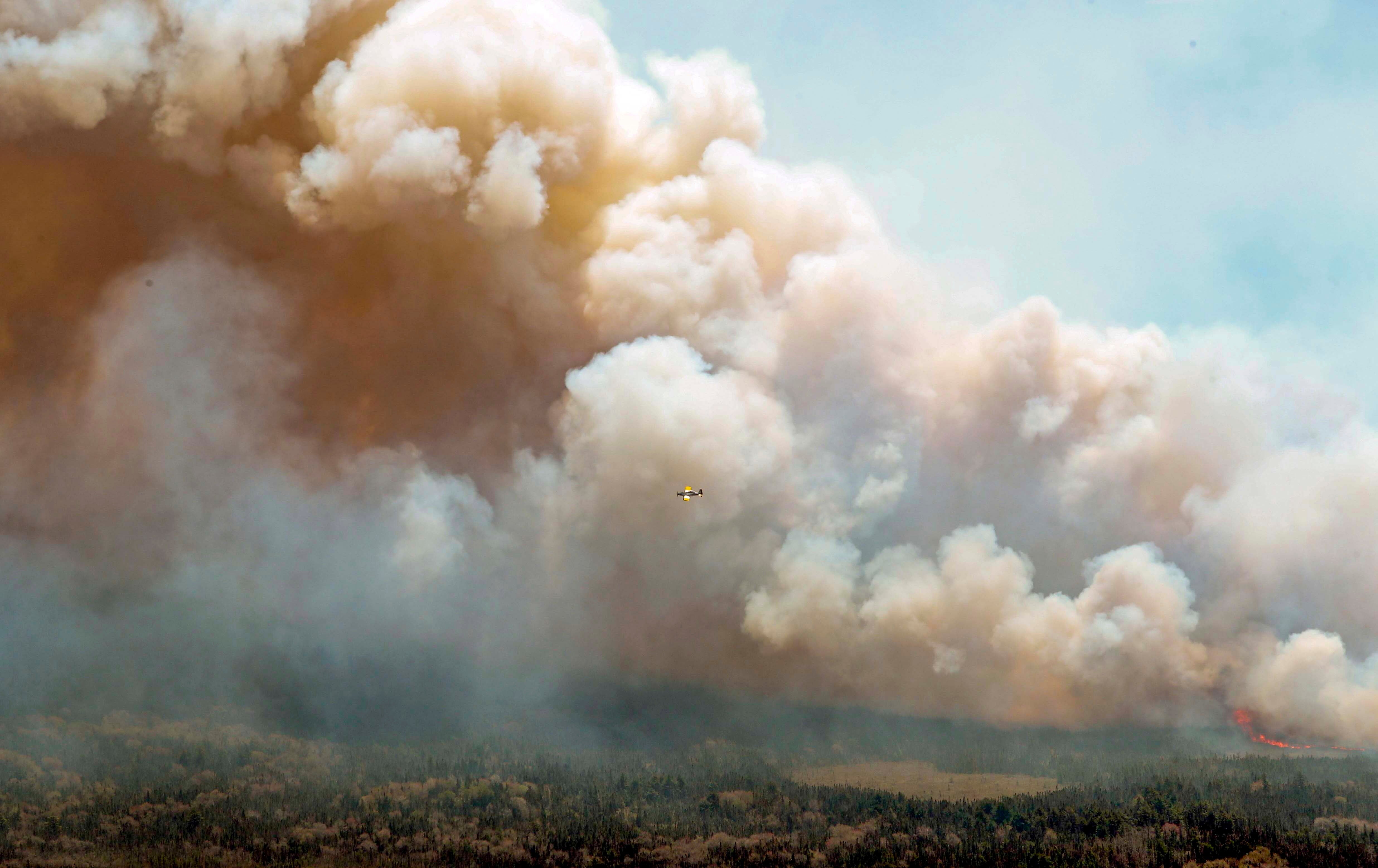 Lluvia favorece combate de incendios forestales en Canadá Independent