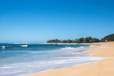 El grupo de culto “Cult” partió de Hawái tras protestas