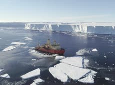 Científicos descubren la razón del deshielo acelerado del Glaciar Thwaites en la Antártida