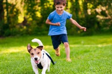 Tener una mascota puede tener beneficios económicos y de salud, encuentra un estudio