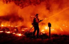 California: Condiciones climáticas avivarán los incendios forestales 