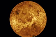 Se descubre evidencia de posible vida extraterrestre en Venus