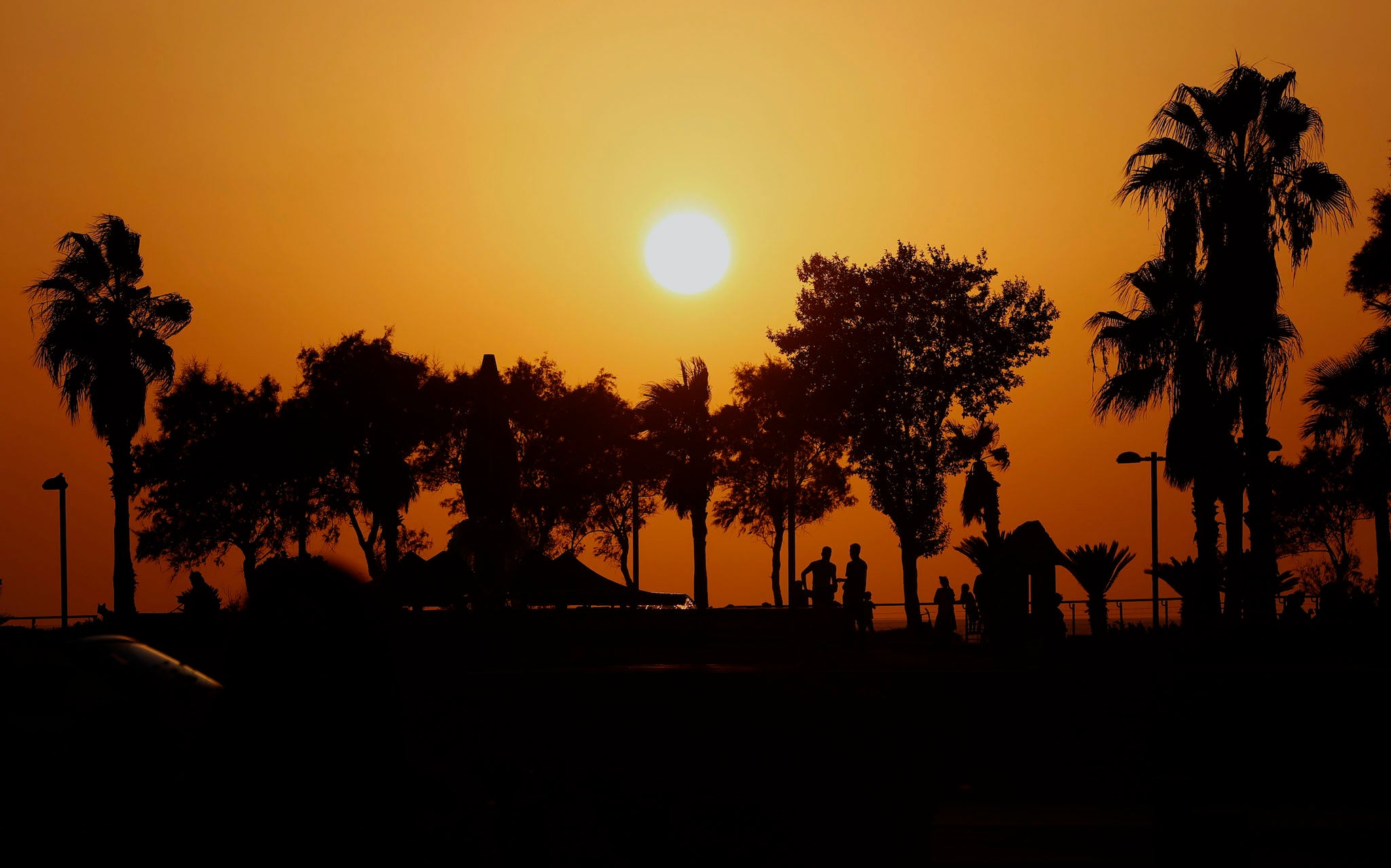 Ha dado inicio un nuevo ‘ciclo solar’, anuncia la NASA