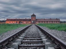 'Impactante y triste': Casi dos tercios de los estadounidenses millennial y de la Generación Z desconocen que 6 millones de judíos fueron asesinados en el Holocausto