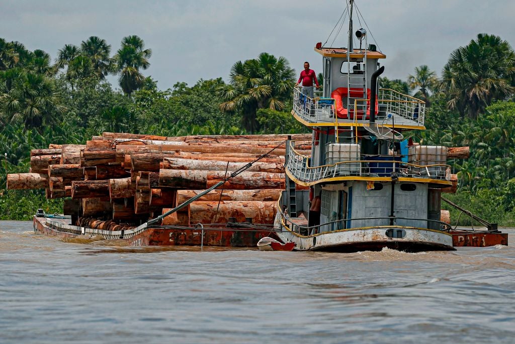 Varios países miembros de la Unión Europea mostraron su preocupación por la deforestación que se puede dar en el Amazonas.