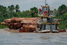 Preocupa a países de la UE que acuerdo comercial dañe el Amazonas