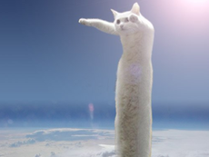 Muere el gato del meme ‘Longcat’ a los 18 años, el Internet está de luto