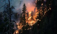 Incendio en California amenaza con consumir  más de 1.000 casas
