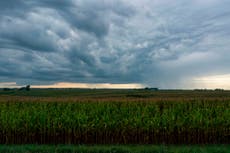 Pueblo de Iowa se paraliza después de que el cuerpo de un hombre afroamericano fuera encontrado quemado 