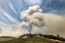 Incendios forestales en Estados Unidos  amenazan  con afectar gravemente a los viñedos
