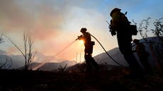 México envía 101 bomberos de sus brigadas a combatir incendios forestales en California