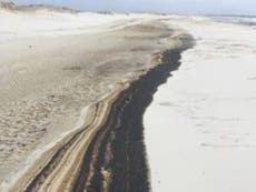 Playa de Florida recibe gran cantidad de petróleo por el huracán Sally