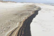 Huracán Sally arrastró residuos de petróleo a las costas de Florida