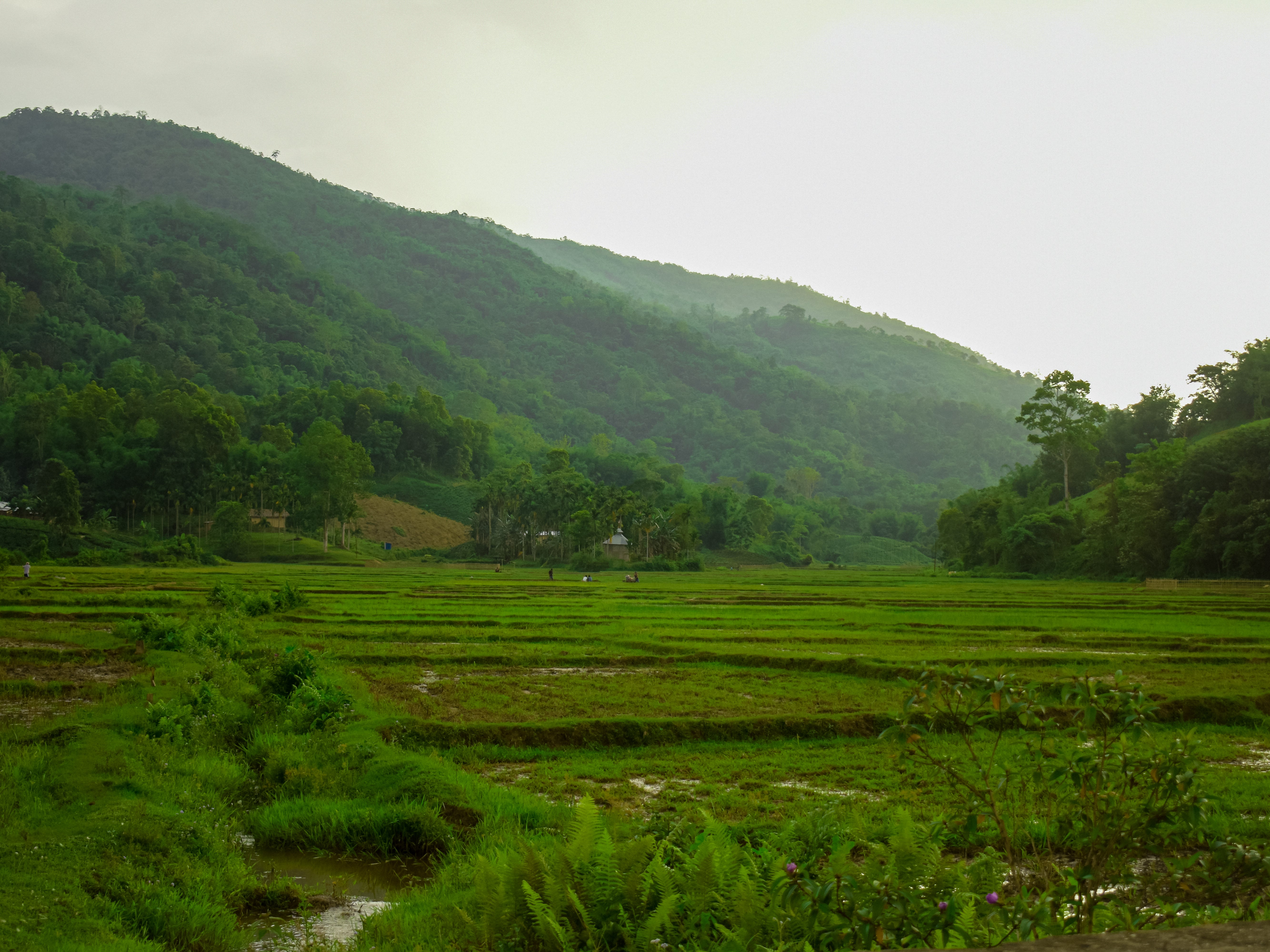 Karbi Anglong, en el estado de Assam, India