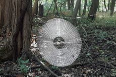 Hallan una telaraña del tamaño de un humano en bosque de Missouri