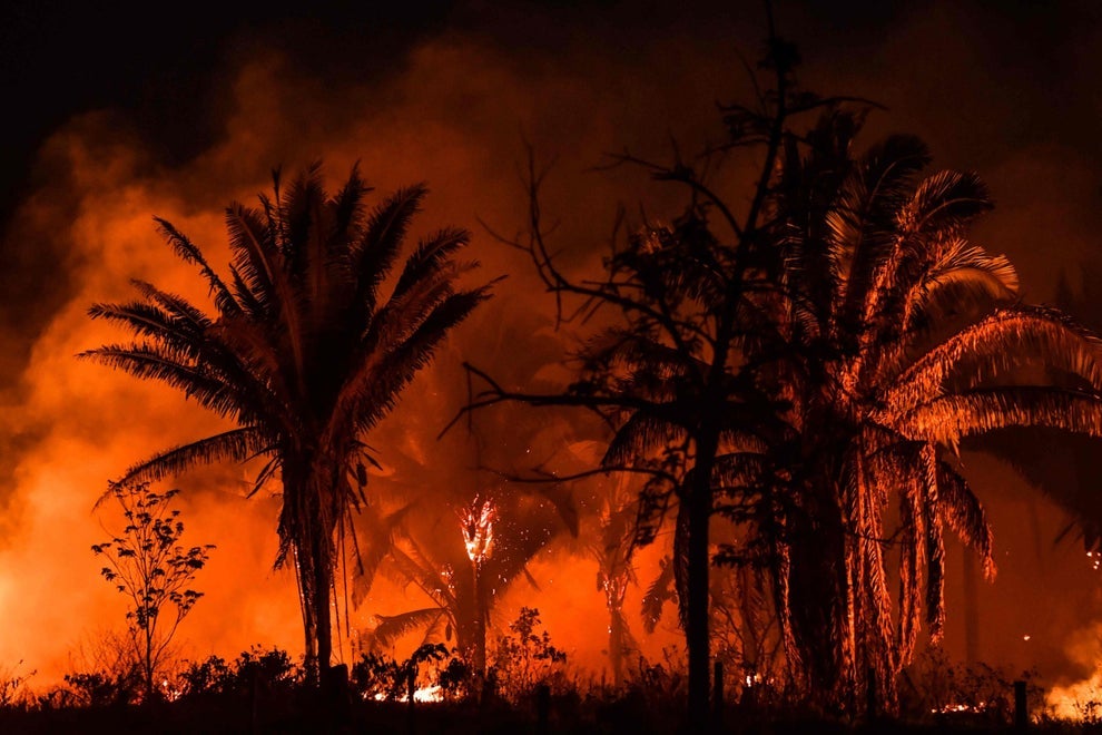 Los madereros y agricultores están quemando grandes extensiones de la selva amazónica