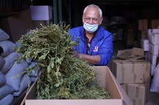 Dólar a dólar: mexicanos en Estados Unidos forman “Fuerza Migrante” para ayudar a México