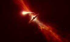 Agujero negro devora a una estrella en un ‘evento disruptivo’ capturado por telescopios alrededor del mundo