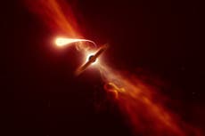 Agujero negro devora a una estrella en un ‘evento disruptivo’ capturado por telescopios alrededor del mundo