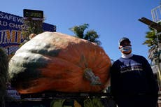 Calabaza de 2,350 libras gana concurso en California