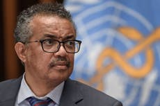 Covid: OMS “sueña con el fin de la pandemia” gracias a la vacuna