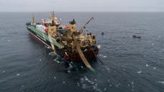 Activistas abordan embarcación para que no pesque en zona protegida