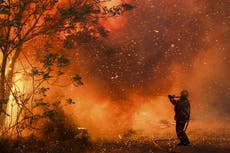 Incendios no dan tregua a la provincia argentina de Córdoba