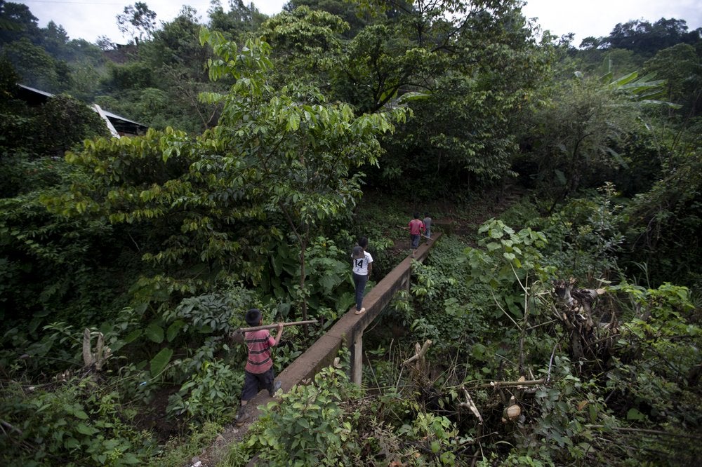 Juan Gabriel Vázquez y sus hermanos caminan rumbo a campos de maís donde trabajarán en la comunidad de Nuevo Yibeljoj en el estado de Chiapas, en México