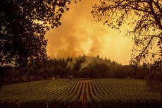 Ola de calor causa problemas eléctricos en California