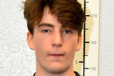 Adolescente neonazi libra la cárcel tras admitir delitos de terrorismo