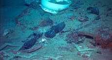 Se rumora una posible expedición para recuperar artefactos del Titanic