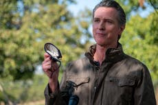 California no aplicará vacunas Covid sin el consentimiento de expertos