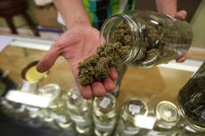 4 estados harán referendo sobre legalizar marihuana durante elecciones