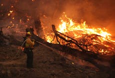 Evacuan a miles en el sur de California debido a incendio forestal 