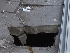 Hombre es rodeado por ratas tras caer por un agujero en Nueva York