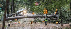 Un hombre electrocutado y cuatro muertos dejó el huracán Zeta