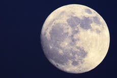 Cuándo y cómo ver la superluna de esturión y la superluna azul de agosto 2023