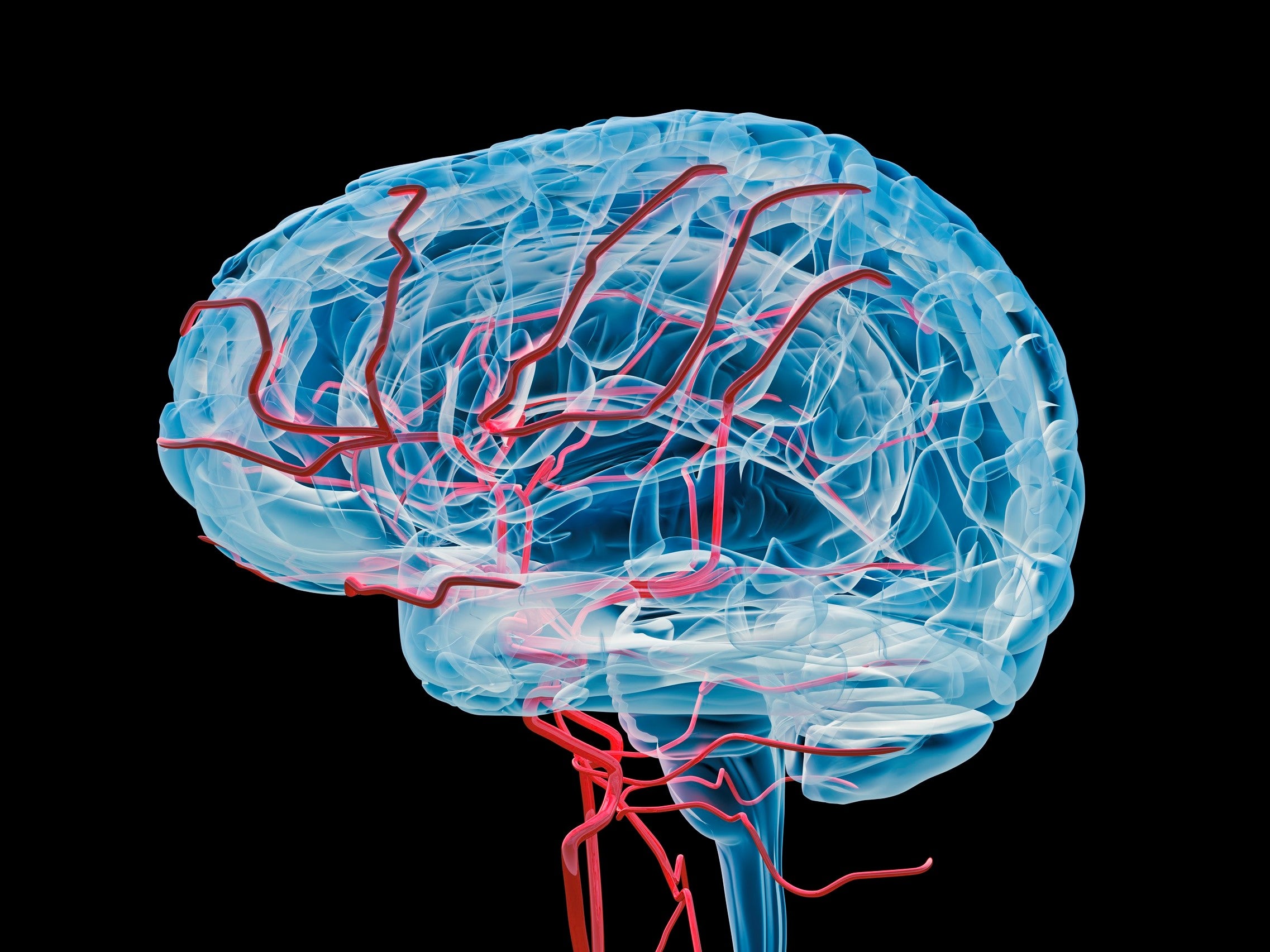 Los científicos han localizado por primera vez el “reloj de kilometraje” del cerebro y afirman que este hallazgo podría ayudar a diagnosticar el Alzheimer