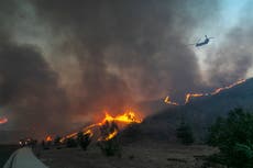 EE.UU abandona el pacto de Paris para remediar el cambio climático
