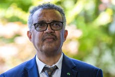 ONU convoca a cumbre sobre consecuencias del COVID-19 en diciembre