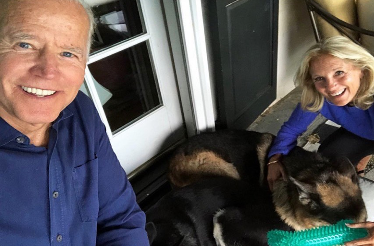 Los perros de Joe Biden obtienen cuentas de redes sociales.