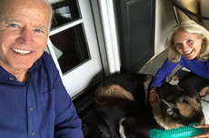 Mascotas de Joe Biden estrenan sus propias cuentas en redes sociales