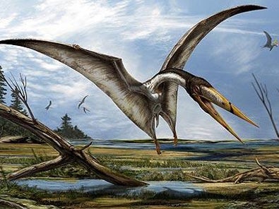 Una impresión artística emitida por Davide Bonadonna de Alanqa del norte de África, que según los paleantólogos se parece a la especie de pterosaurio recién descubierta.