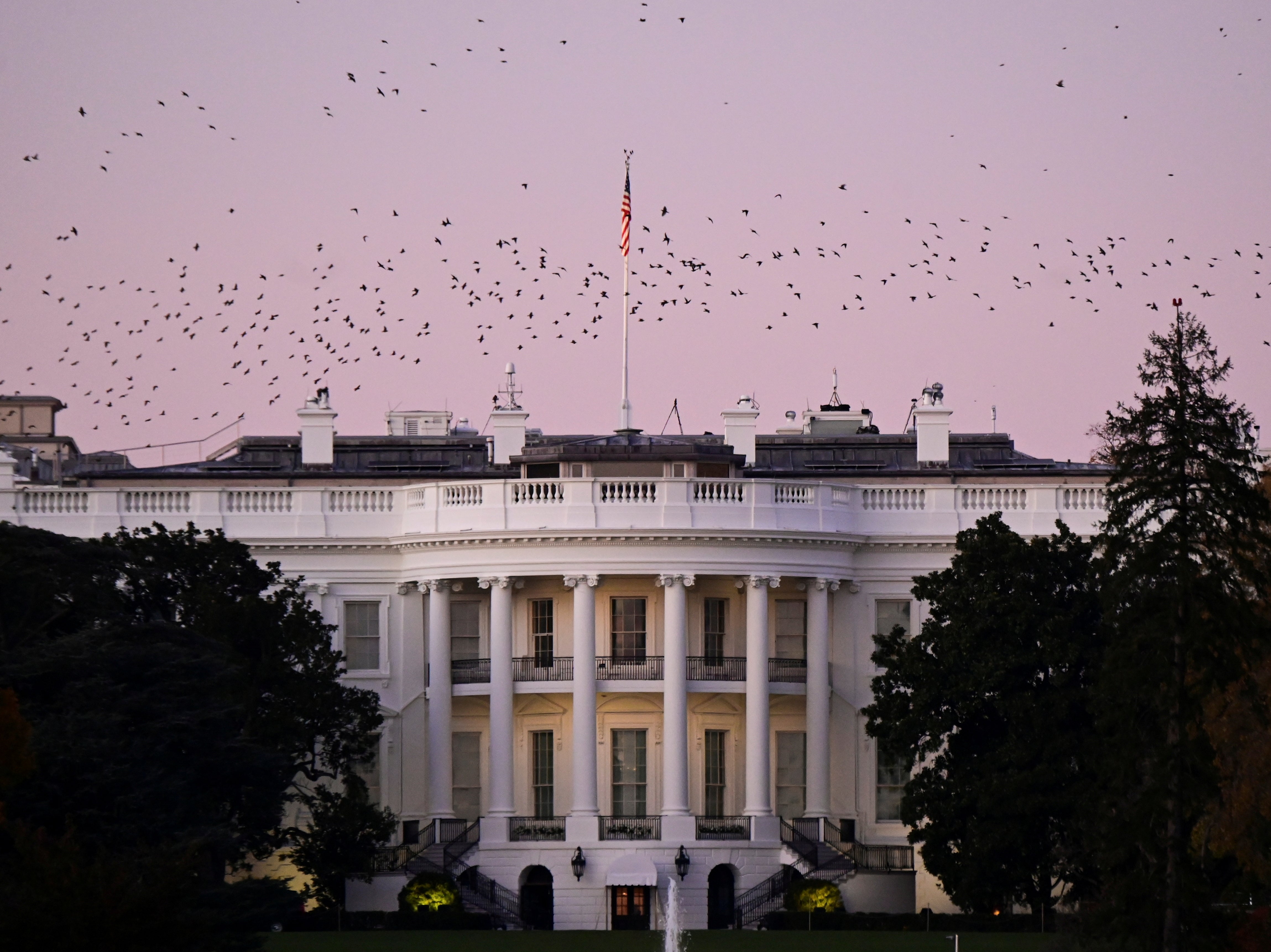 Encuesta: solo 27% de republicanos cree que Biden prestará juramento