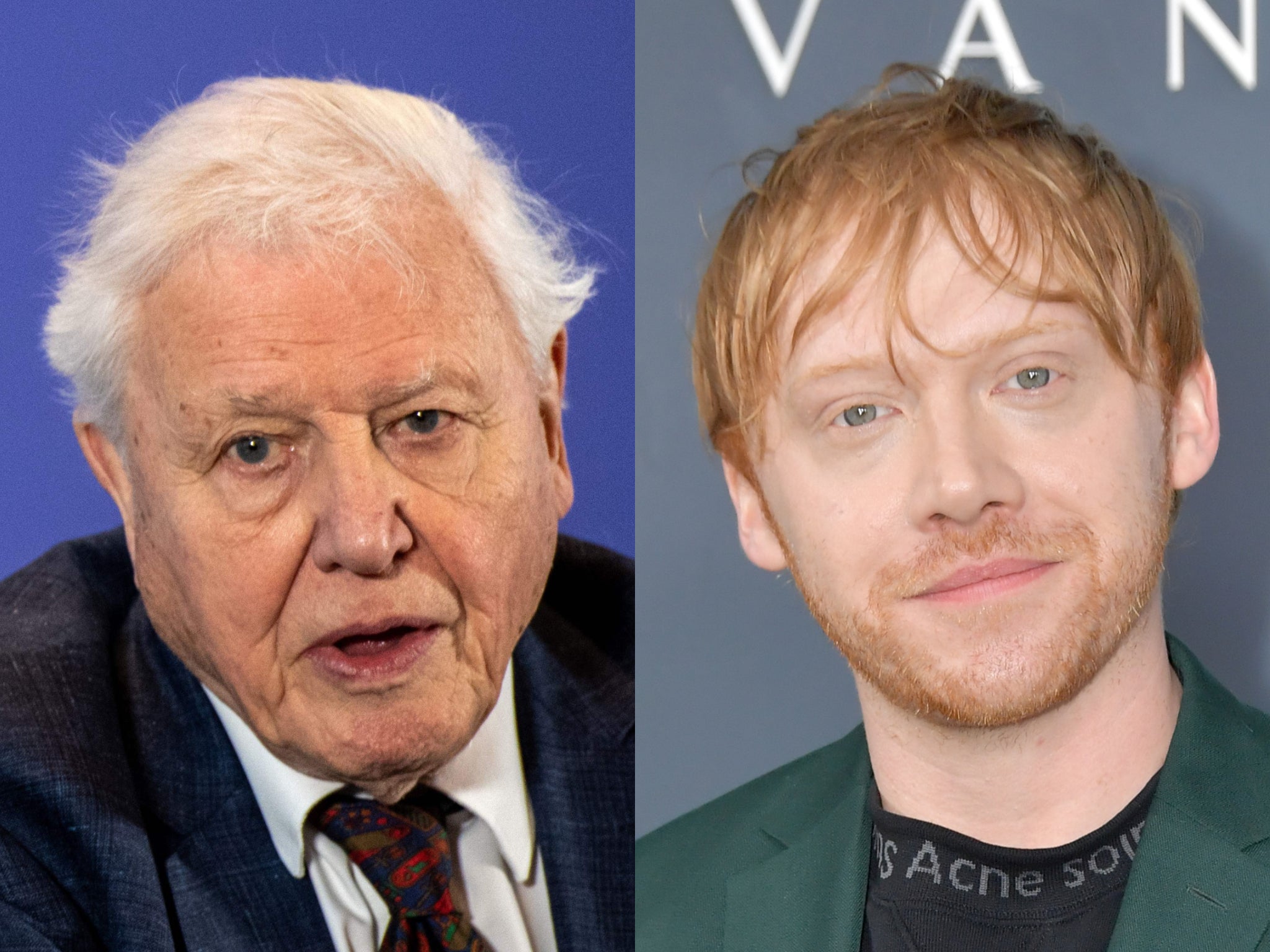 Rupert Grint bate récord de Instagram, siendo ahora el usuario en alcanzar 1 millón de seguidores más rápido