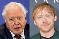 Rupert Grint bate récord de Instagram, siendo ahora el usuario en alcanzar 1 millón de seguidores más rápido