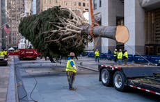 Llega el árbol de Navidad del Rockefeller Center
