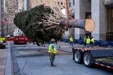 Árbol de Navidad es entregado en el Rockefeller Center