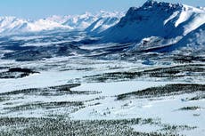 Trump apresura subasta de sitios de perforación en refugio silvestre de Alaska