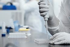 Vacuna covid: ¿Cuáles son los ingredientes de las vacunas de Pfizer y BioNTech?